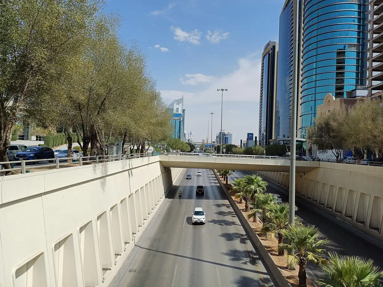 طريق سريع بالرياض بين الأشجار والأبراج